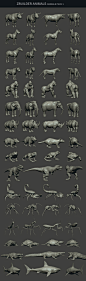 Zbuilder Animals, Tsvetomir Georgiev : ZBUILDER ANIMALS 
Create an unique Animal or Creature model without any Zbrush skills.

If you want to buy :
https://www.artstation.com/marketplace/p/rJgz/zbuilder-animals