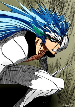 BLEACH-reference-花瓣网|陪你做生活的设计师 | 死神虚无十刃GIF美图