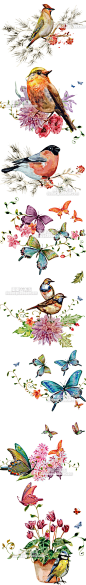 739 手绘水彩花朵小鸟蝴蝶图案 矢量设计素材 卡片设计绘画源文件-淘宝网
