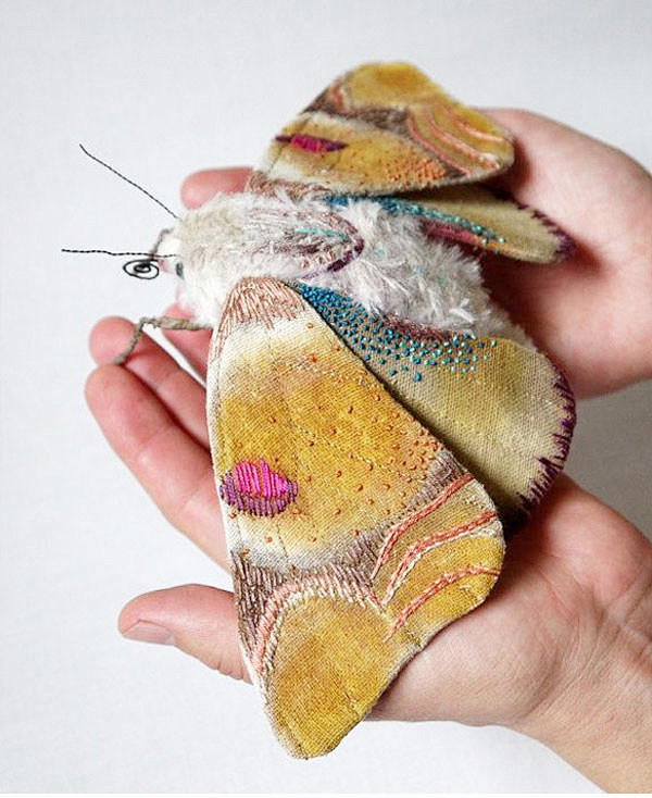 beautiful moths