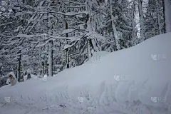 雪的场景