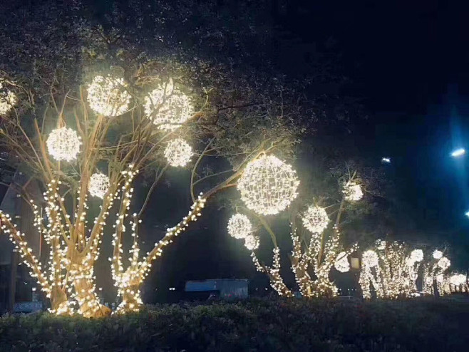 植物 灯光 夜景