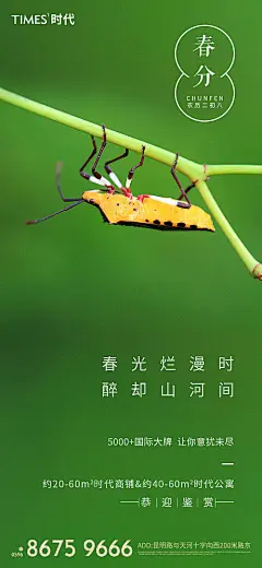 地产春分节气海报 