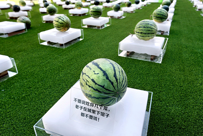 西瓜节