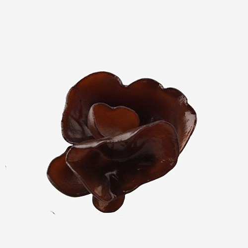 黑木耳卡通手绘高清素材 卡通手绘 手绘 ...