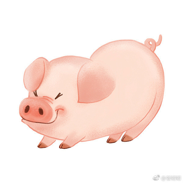 猪年画猪