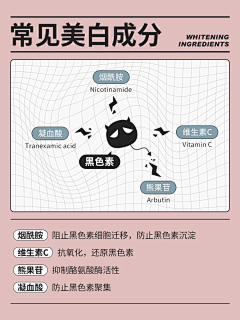 压梨山大采集到我的护肤小知识