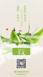 the dragon boat festival