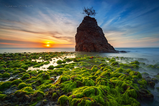 My Green Land :东马婆罗洲...