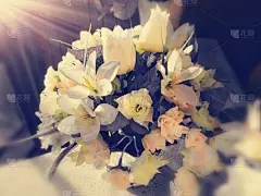 人造的,花束,白色,棕褐色调,电灯,绘画艺术品,角度,在上面,美,艺术