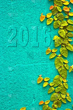 2016年绿色爬行