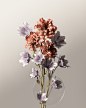 Botanical experiment