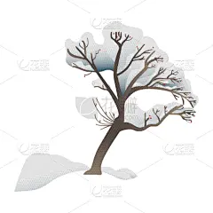 雪,公园,森林,华丽的,霜,天气,植物群,自然美,童话故事,树