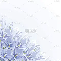 背景,绘画插图,矢量,野风信子,蓝色,华丽的,石生风铃草,请柬,贺卡,空的