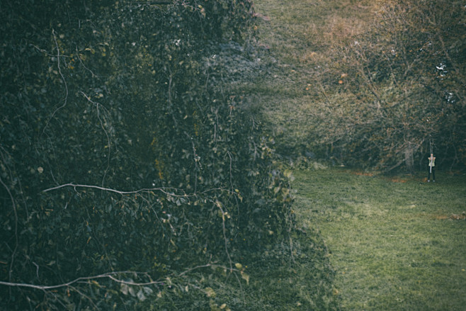 20181118-barnimages-...