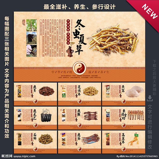 参行 参行展板 参行海报 参行挂画 中药...