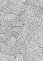 (55) Pinterest