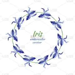 鸢尾花手绘水彩矢量绘画插画，花圆框，蓝色装饰草药花环设计，贺卡，婚礼邀请，美容沙龙