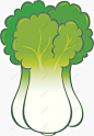 卡通蔬菜白菜