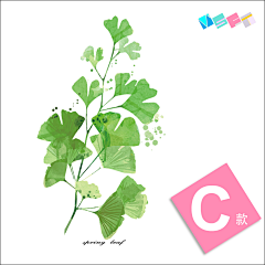ooooooo·采集到文艺植物插画