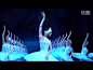 【群鹅华尔兹】群鹅在蓝色的月光下一会儿围成圆圈，一会儿排成数行无忧无虑欢快地飞翔、嬉戏，充满着一种少女的宁静、纯洁、欢乐的气氛。——— 芭蕾舞剧《天鹅湖》第二幕精选 马林斯基剧院基洛夫芭蕾舞团 http://t.cn/a3nKyo