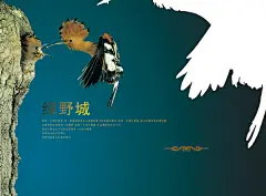 绿野城房产海报PS
