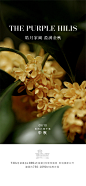 中秋节海报-志设网-zs9.com