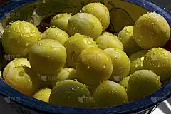 梅子-黄色四郎与水滴