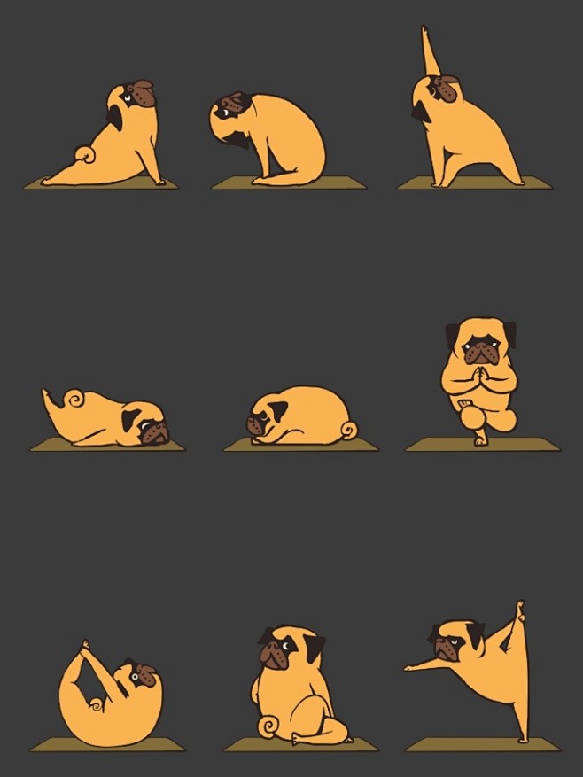 绘画参考萌萌哒练瑜伽的小动物们n▽nbyhuebucket