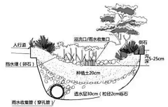 酱の采集到海绵城市