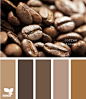 coffee tones