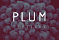 Plum Fun Typeface :  