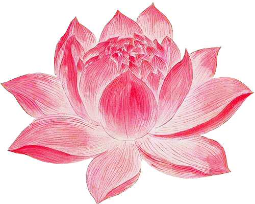 自抠素材