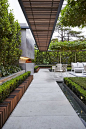 Contemporary Garden Design: 