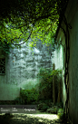 艺圃一隅 - Originoo 图片详情#苏州# #艺圃# #园林# #绿色# #春天# #旅游# 