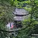 多图