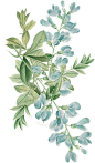中国古风水墨花手绘水彩植物花卉装饰 免抠png透明图片背景ps素材 (364)