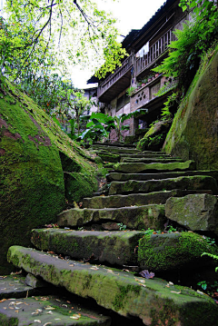 木马-小刘采集到风景