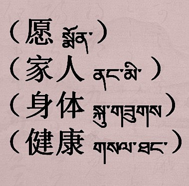 愿 家人 身体 健康 藏文怎么写啊,麻烦...