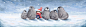 Snowy Penguins