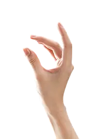 书生花瓣*人物肢体，五官