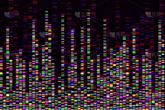 脱氧核糖核酸,信息图表,生物学,微生物学,健康保健,药,生物科技,技术,分子,克隆