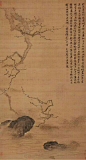 来自分享