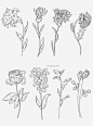 单色手绘植物插画图片大小4267x5742px 图片尺寸1.06 MB 来自PNG搜索网 pngss.com 免费免扣png素材下载！插画#单色#花朵#菊花#手绘#植物#中药#