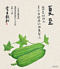 接地气！掌生谷粒24节气海报