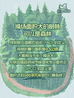 一棵树、一片竹子、一片灌木算森林吗？答案意想不到！