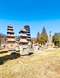 世界文化遗产～嵩山少林寺塔林 - 小红书