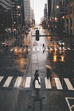 suifth采集到雨景