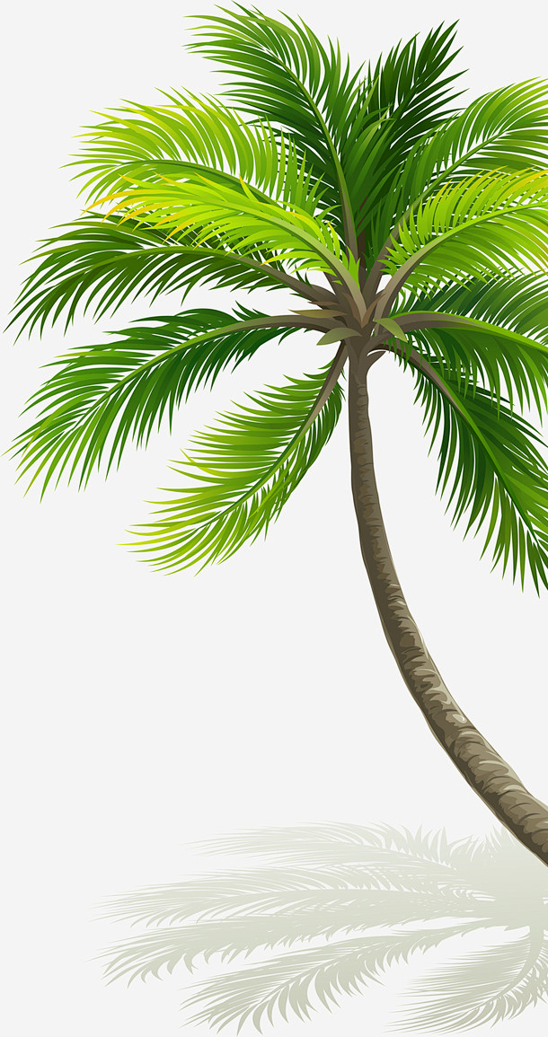 大自然茂密棕榈树高清素材 倒影 大自然 ...