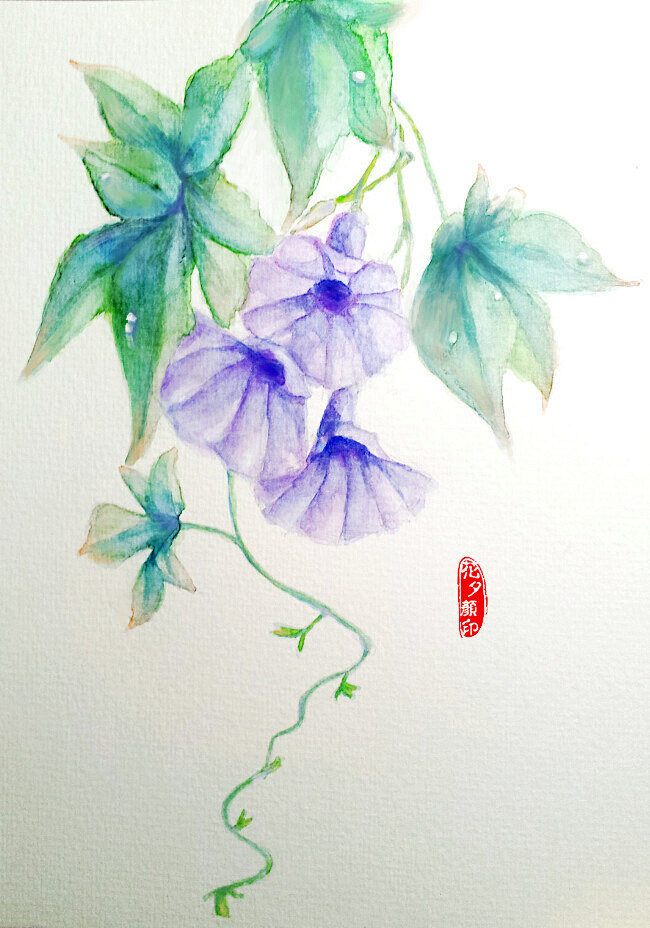 悠扬的云从q9itm